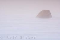Thick fog sets in around the Pinware River Mouth in the Strait of Belle Isle in Southern Labrador, Canada with a large boulder being the only thing visible.