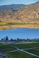 Around Lake Osoyoos the landscape is lush and green on one side and mountainous and desert-like on the other side. Vineyards line Lake Osoyoos in the Okanagan-Similkameen Region of BC, and this is a popular area for tourists especially during the summer.