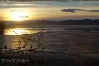 Spindly winter grasses line the lake, silhouetted by the stunning sunset in Utah.