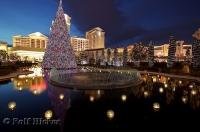 The beautiful reflections of the christmas tree on the water featured outside Caesars Palace in Las Vegas, Nevada.