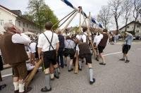 The men working to raise the Maibaum in traditional Lederhosen in Putzbrunn, Bavaria, Germany.