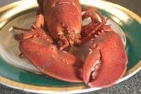 A popular gourmet delicacy in the Atlantic Provinces of Canada is a fresh cooked lobster served with melted butter.