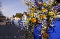 The decorated Maibaum is ready to be raised in the town of Putzbrunn, Bavaria, Germany.