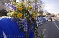 The maibaum is ready to be wheeled into the town centre of Putzbrunn in Bavaria, Germany.