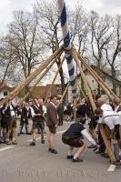 A group of men raise the Maibaum by traditional methods in Putzbrunn, Germany.