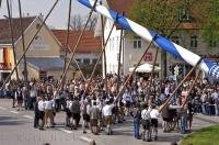 The Maibaum is raised according to Putzbrunn traditions in Germany.