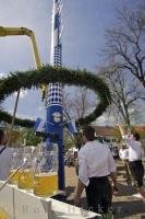 The wreath is placed around the Maibaum with the aid of a crane in Putzbrunn, Germany.