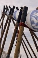 The traditional Maibaum is raised using poles in the town of Putzbrunn, Germany.