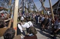 The crowd patiently watches as the Maibaum is being raised at the Maibaumfest in Germany.