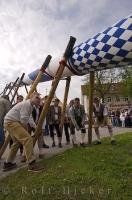 The Maibaum is raised by a team of men during the Maibaumfest in Putzbrunn, Bavaria, Germany.