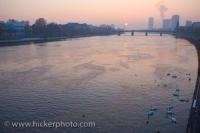 Sunset takes over the sky in Frankfurt, Germany as white swans peacefully swim near the banks of Main River.