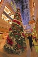 In the atrium of the Banker Hall shopping mall is a beautifully decorated Christmas tree. The tree is wonderfully adorned in traditional reds, gold and green.
