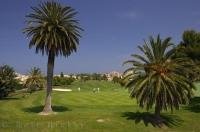 The manicured greens at the Oliva Nova Golf Course on the Costa Blanca in Valencia, Spain should please the most fastidious golfer.