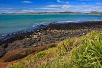 The rocky coastline of Manu Bay in Raglan on the North Island of New Zealand is very well known with the surfers of the area.