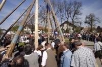 Locals gather around to watch as the May Tree is raised in the town of Putzbrunn, Germany.