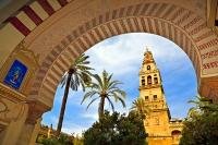 The tall bell tower of the Mezquita Cathedral Mosque overlooks the historic city of Cordoba in Andalusia, Spain.