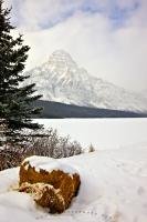 Mount Chephren can be seen in the background behind Waterfowl Lake in this winter picture taken after fresh snowfall in Banff National Park, Alberta, Canada. Banff National Park is a UNESCO World Heritage Site in the Canadian Rocky Mountain Parks.