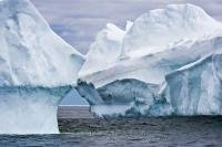 Two large floating icebergs showing off their natural shapes and lines off the coast of Newfoundland in Iceberg Alley.