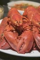 When visiting the province of Newfoundland, Canada be sure to try a fresh cooked lobster straight from the Atlantic.