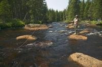 Fly fishing is a popular activity during a vacation in Newfoundland, Canada and Tuckamore Lodge offers fishing packages.