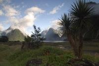 One of the only road accessible Fiords is Milford Sound, found in Fiordland National Park of New Zealand.