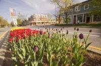 The flowers lining the main street of Niagara on the Lake adds to the scenery in this beautiful town on the shores of Lake Ontario, Canada.