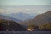 Nootka Sound valley on Northern Vancouver Island in British Columbia, is surrounded by wilderness and wildlife.