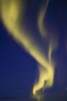 The Mysterious Northern Lights weave around each other reaching towards the Heavens over Alaska. 