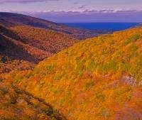 Fall Pictures on Cabottrail in Nova Scotia in the Cape Breton Highland National Park