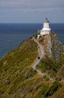 A path high above the water on steep rock formations, takes visitors out to Nugget Point Lighthouse on the South Island of New Zealand.