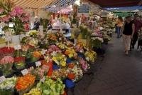 A riot of colours brighten the flower stalls at the Cours Saleya Market in Old Town, Nice in Provence, France, Europe.