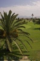 Golfing at the Oliva Nova Golf Course in Oliva, Valencia in Spain, Europe is a challenge even for the best golfers.