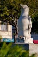 Set in stone - an Oamaru stone statue of a Little Blue Penguin adorns the main street of Oamaru, South Island, New Zealand.