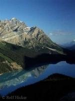 Peyto Lake in Banff National Park, Alberta at early morning on a beautiful perfect Rocky Mountain day