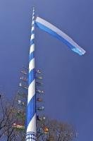 The blue and white Bavarian flag waves from the top of the Maibaum in the town of Putzbrunn, Germany.