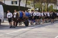 The team of men escort the Maibaum into the town centre of Putzbrunn, Germany.