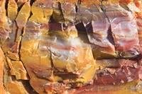 Turned into quartz over a period of centuries, as organic material from the log was replaced with minerals, the wood of a petrified log now shows a mosaic of beautiful colours.