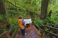 This picture shows a tourist reading an interpretative sign while exploring the Rainforest Trail in Pacific Rim National Park, Vancouver Island, British Columbia.