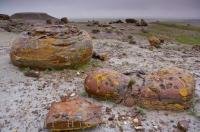 Various colors have formed over the years on this fascinating piece of landscape where large round boulders are implanted in Red Rock Coulee in Alberta, Canada.