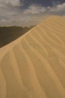 High winds whip at the tip of a sand dune formation in Te Paki, Northland, North Island, New Zealand.