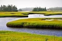 A scenic river channel is fringed by vivid green grass which lines the banks of the river. This landscape picture is taken in Clark's Harbour on Cape Sable Island in Nova Scotia, Canada.