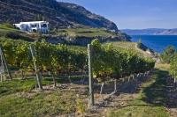 Situated on an elevated lot Bonitas Winery located in Summerland, has a scenic overview of Okanagan Lake.