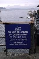 A funny sign and seagulls next to the famous Ivar's Fish and Chips on the waterfront of Seattle, Washington.