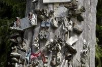 The shoe tree on Northern Vancouver Island in British Columbia, Canada resembles a exhibit for used shoes.