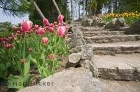 Situated in the Royal Botanical Gardens of Hamilton, Ontario is an established area called the Rock Garden which features more beautiful floral displays.