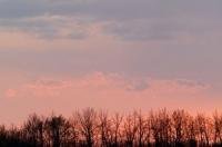Sunset near Barrhead in Alberta Canada, with beautiful colours and shades of pink and blue.