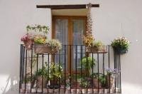 Beautiful potted plants line the balconies and windows of the quaint spanish houses in the village of Morella.