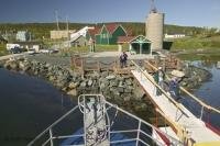 The dock from which Northland Discovery Boat Tours leave from in the St Anthony Harbour in Newfoundland.