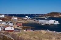 The harbour of St Juliens in Newfoundland, Canada is calm and quiet but just beyond the entrance, all you can see is masses of pack ice floating freely.