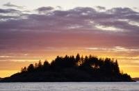 An island off Northern Vancouver Island in British Columbia, Canada surrounded by a beautiful sunset.